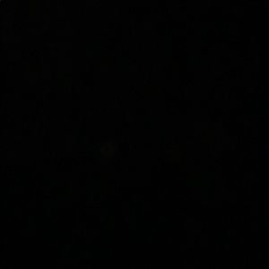 Meet your Posher, Ingrid